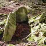 dolmen Argibel 4 (NAVARRA)